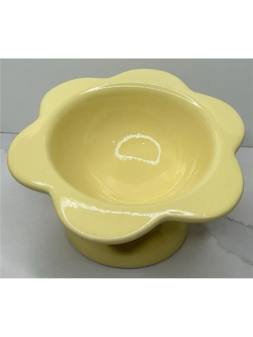 Rare Rockybear Pets Ceramic Food Bowl Elevated 4